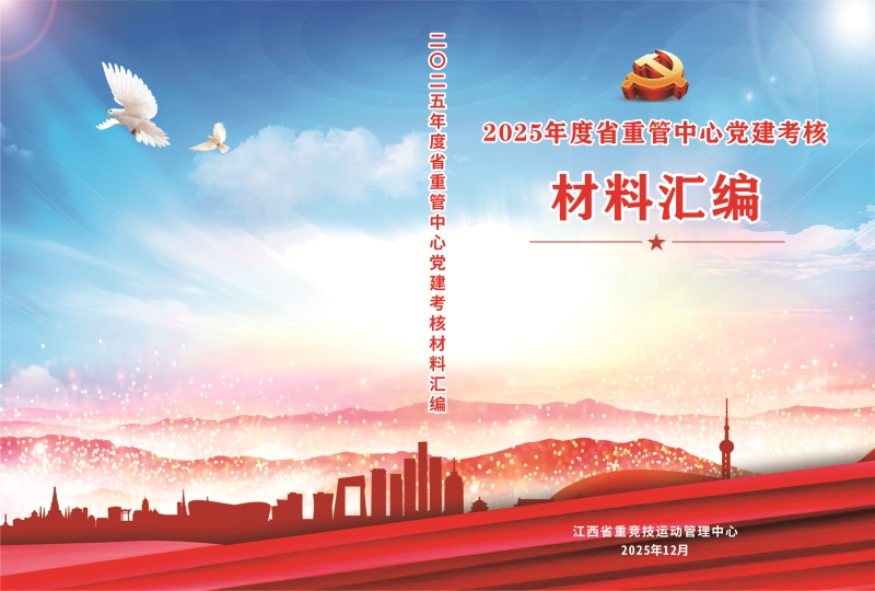 2025年度党建考核材料汇编